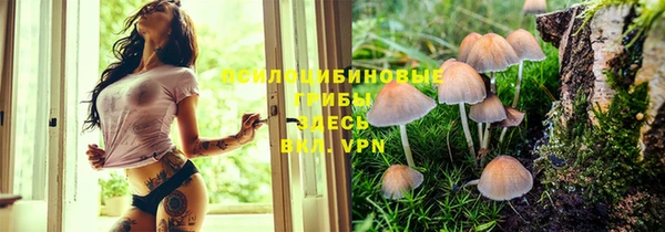 прущая мука Касимов