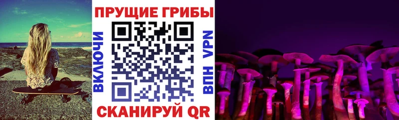 цены наркотик  Коркино  Псилоцибиновые грибы прущие грибы 