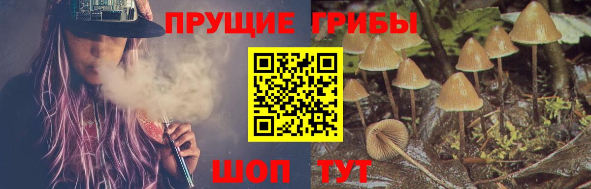 Галлюциногенные грибы ЛСД Коркино