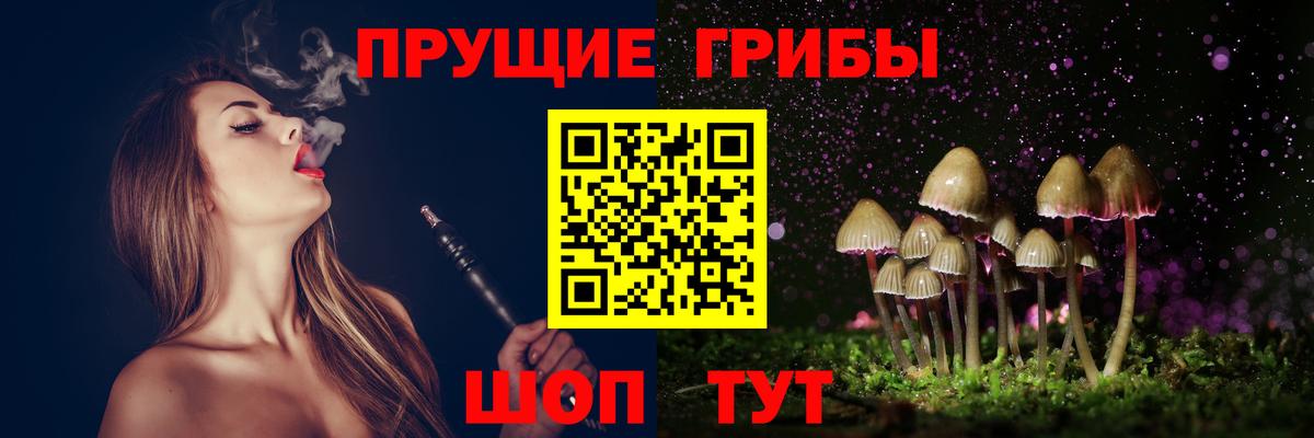 Псилоцибиновые грибы Cubensis  Галлюциногенные грибы GOLDEN TEACHER  Вход с VPN  Коркино 